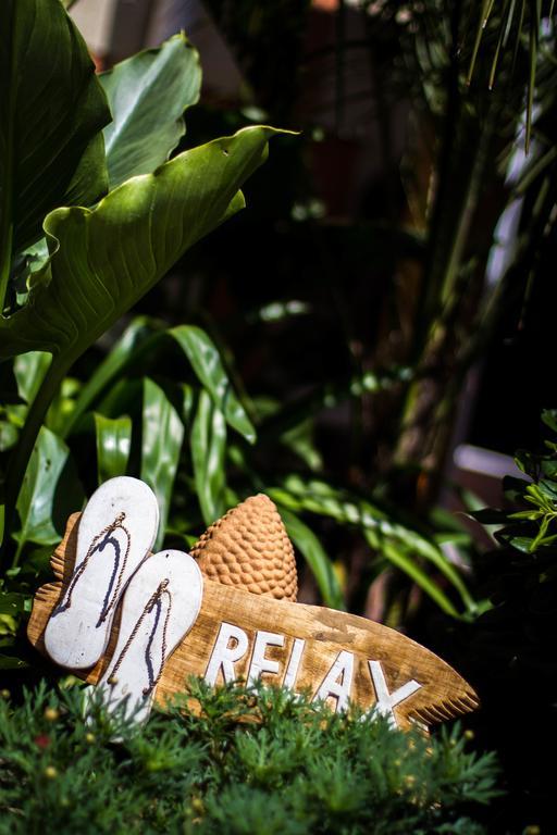 Villa Zenith Hostel-La Surf House ラカノー エクステリア 写真