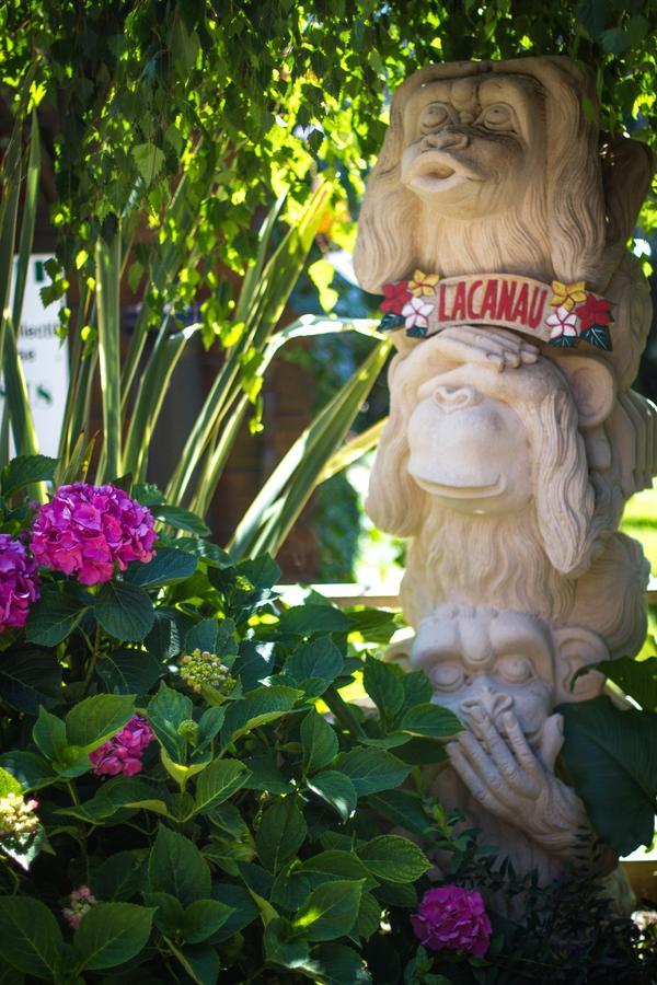 Villa Zenith Hostel-La Surf House ラカノー エクステリア 写真